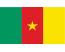 非洲专线-喀麦隆海运双清