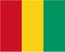 非洲海运-几内亚专线|海运双清